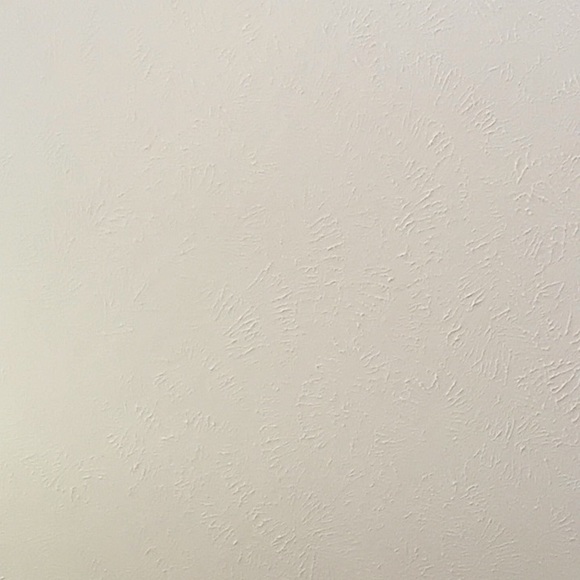 Meet your Posher, Aaliyah - Picture 1 of 1